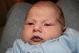 IMG_7136 (Medium).JPG (48588 bytes)